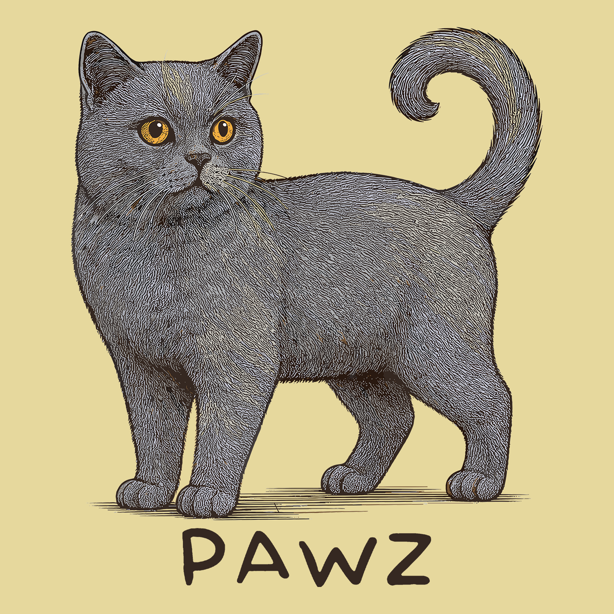 British Shorthair (Adult Short Sleeve T-Shirt) (Copy)